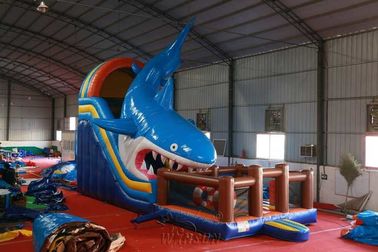 중국 물 저항하는 다량 팽창식은 활주 상어 주제 12x4x6.5m를 말립니다 공장